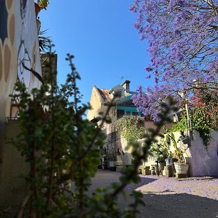 Auberge de jeunesse Lil Darling à Cité de Cité de Sydney Extérieur photo