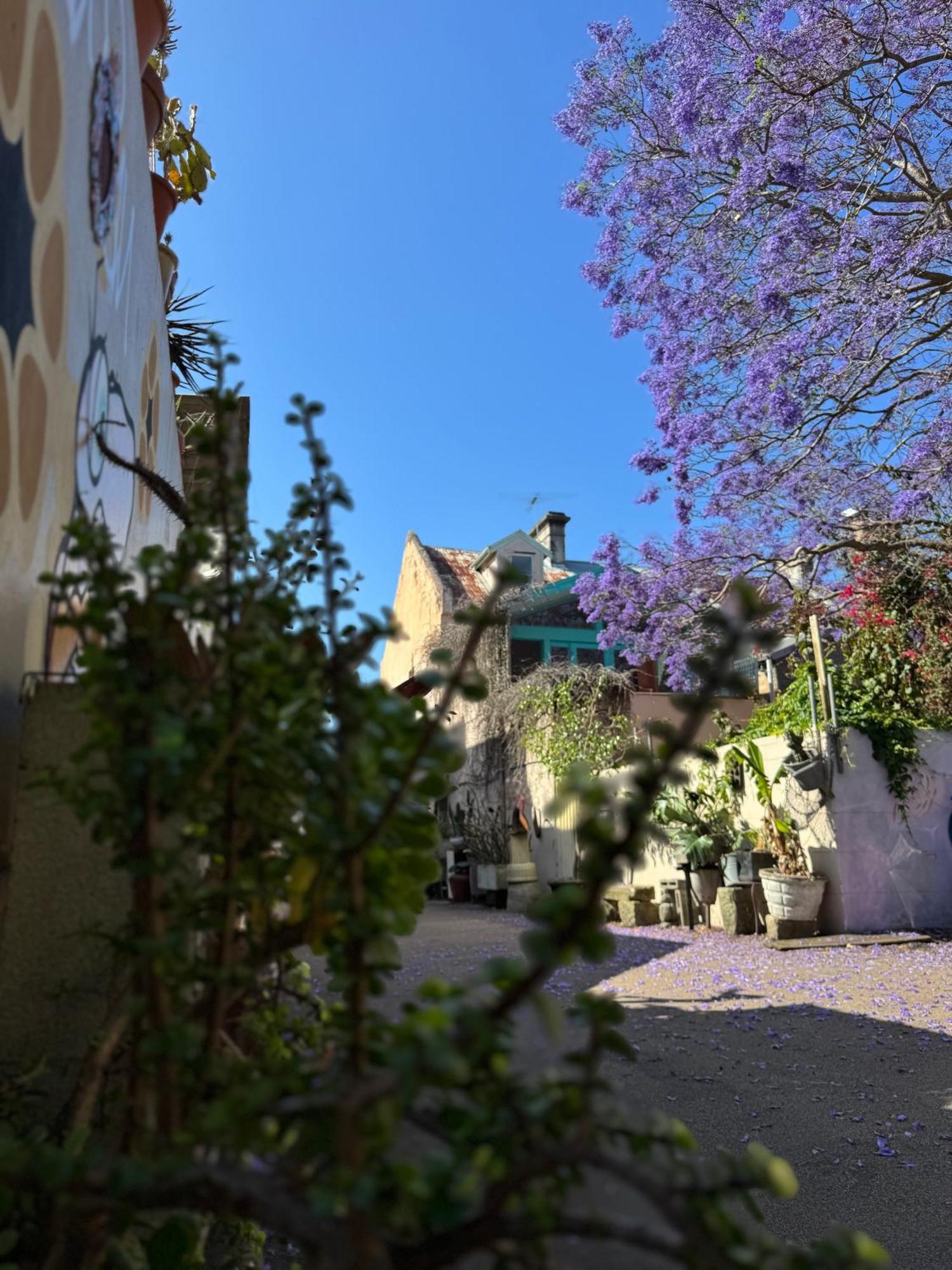 Auberge de jeunesse Lil Darling à Cité de Cité de Sydney Extérieur photo