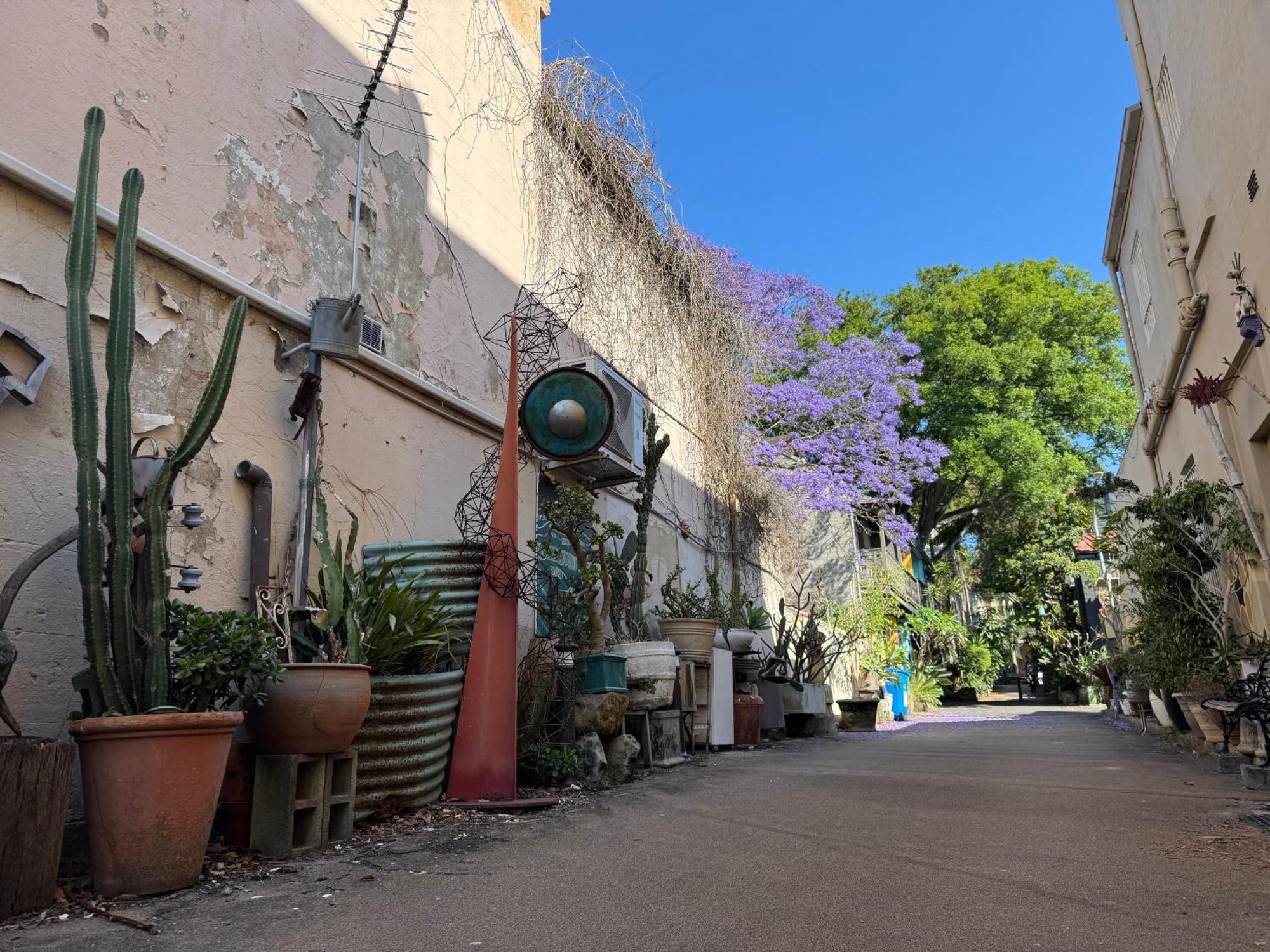 Auberge de jeunesse Lil Darling à Cité de Cité de Sydney Extérieur photo